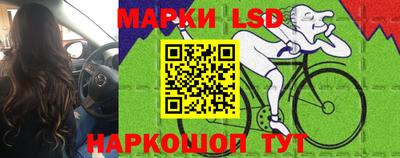 СК Донской