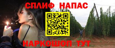 хмурый Дубна
